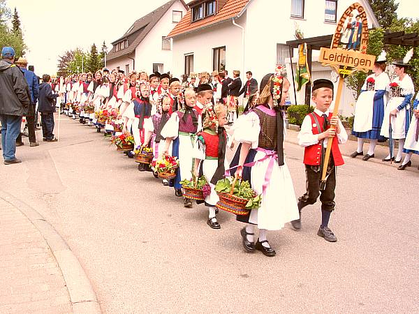 Der Umzug beim Trachtentreffen in Hardt