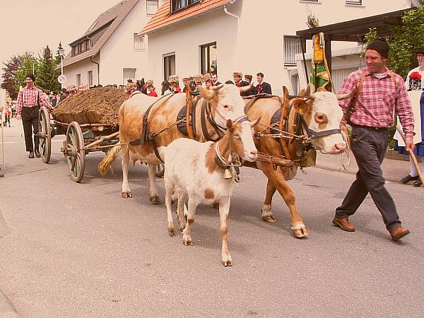 Der Umzug beim Trachtentreffen in Hardt