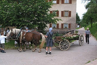 Kartoffelwagen mit Pferdegespann