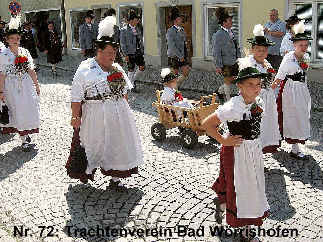 Der Festzug des 54. Gautrachtentreffens in Lindau