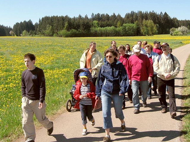 Maiwanderung nach Buchenberg 