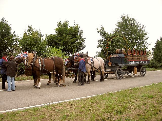 Der Festumzug beim Reitturnier in Donaueschingen