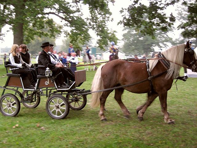 Der Festumzug beim Reitturnier in Donaueschingen