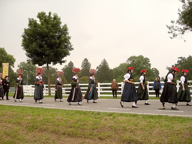 Der Trachtenverein beim Umzug in Donaueschingen