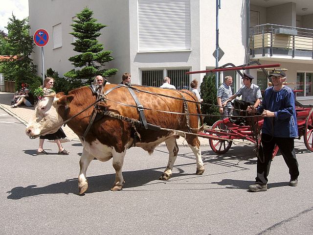 Historische Feuerwehrfahrzeuge