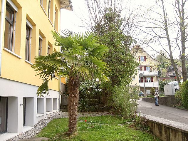 Bilder aus Hitzkirch und Umgebung 