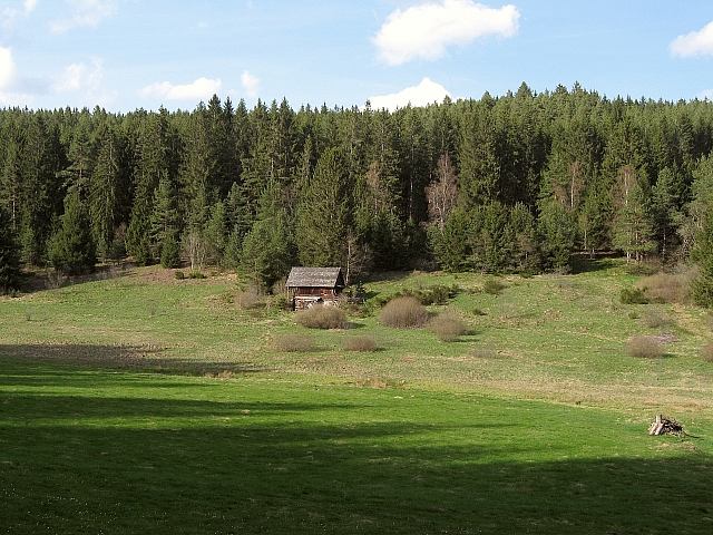 Maiwanderung nach Burgberg 