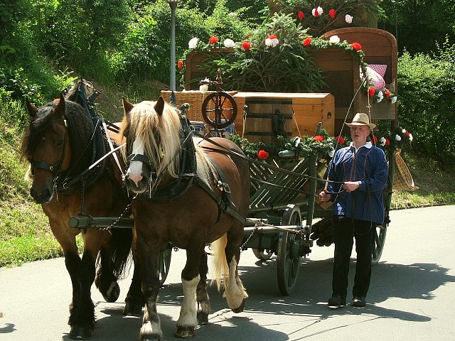 Der Hochzeitszug bei der 900 Jahrfeier in Grningen 