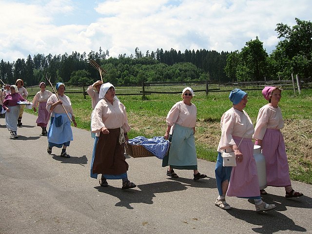 Bilder des historischen Umzugs in Grningen 