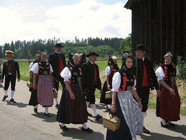 Bilder des historischen Umzugs in Grningen 