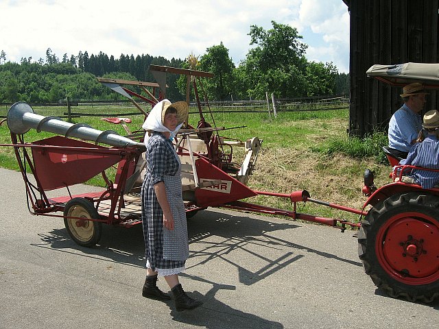 Bilder des historischen Umzugs in Grningen 