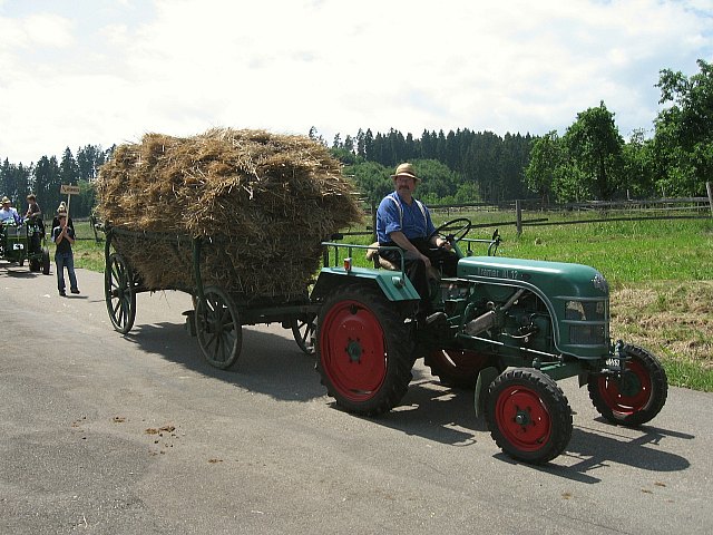 Bilder des historischen Umzugs in Grningen 