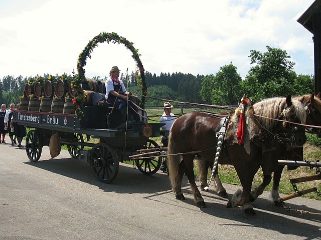 Bilder des historischen Umzugs in Grningen 