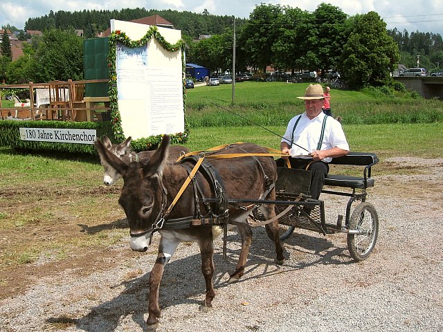 Bilder des historischen Umzugs in Grningen 