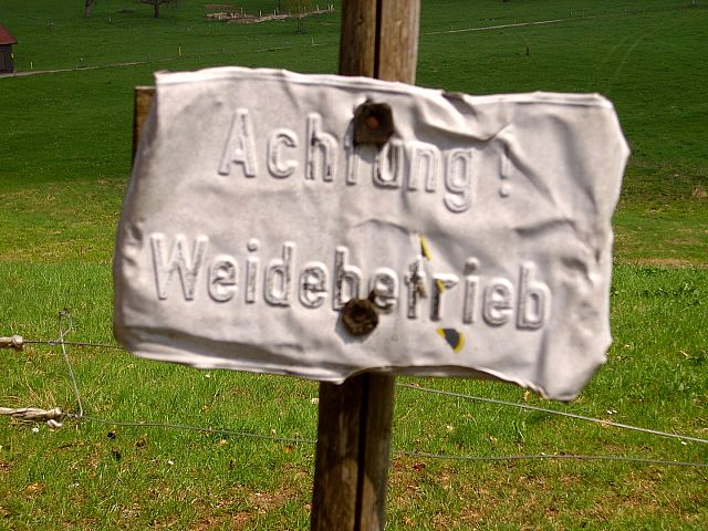 Maiwanderung nach Mnchweiler 