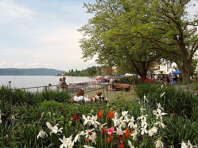 Bilder von berlingen 