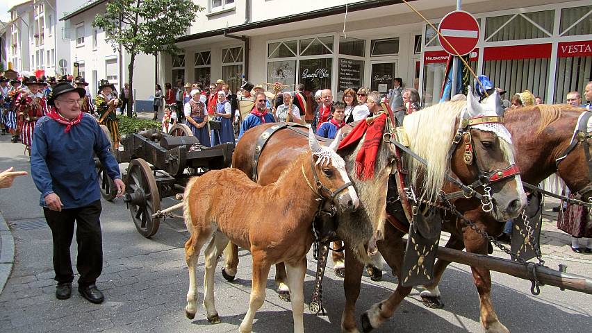 Der Festzug beim Landestrachtenfest 