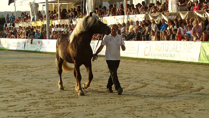 Reiterfest auf den Immenhfen 