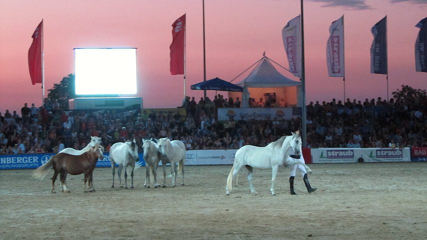 Reiterfest auf den Immenhfen 