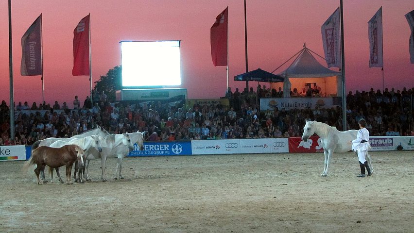 Reiterfest auf den Immenhfen 