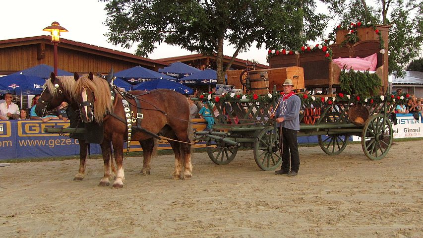 Reiterfest auf den Immenhfen 