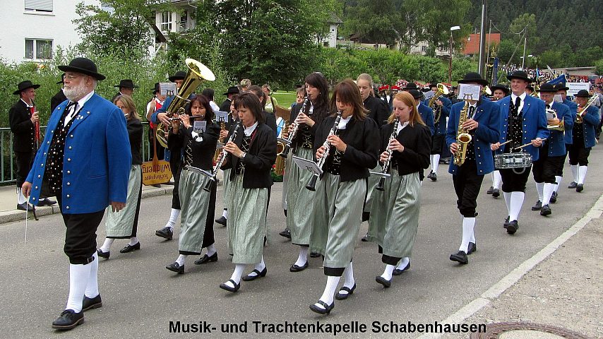 Der Festzuzg beim Gautrachtentreffen in Niedereschach 