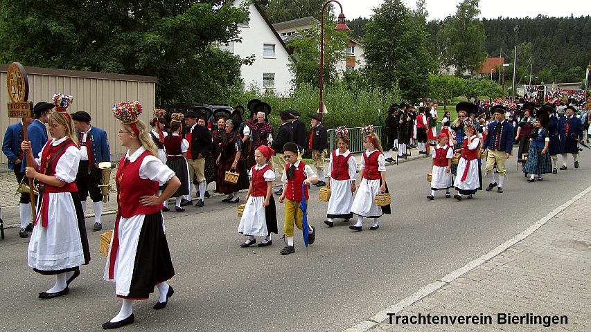 Der Festzuzg beim Gautrachtentreffen in Niedereschach 