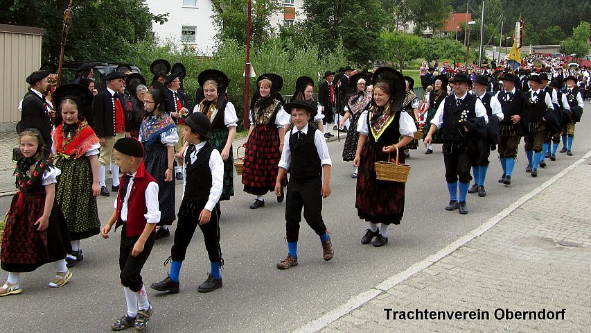 Der Festzuzg beim Gautrachtentreffen in Niedereschach 