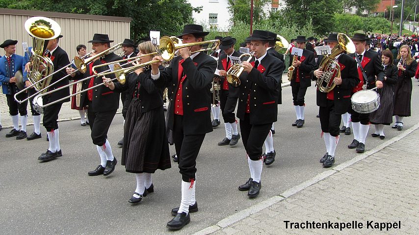 Der Festzuzg beim Gautrachtentreffen in Niedereschach 