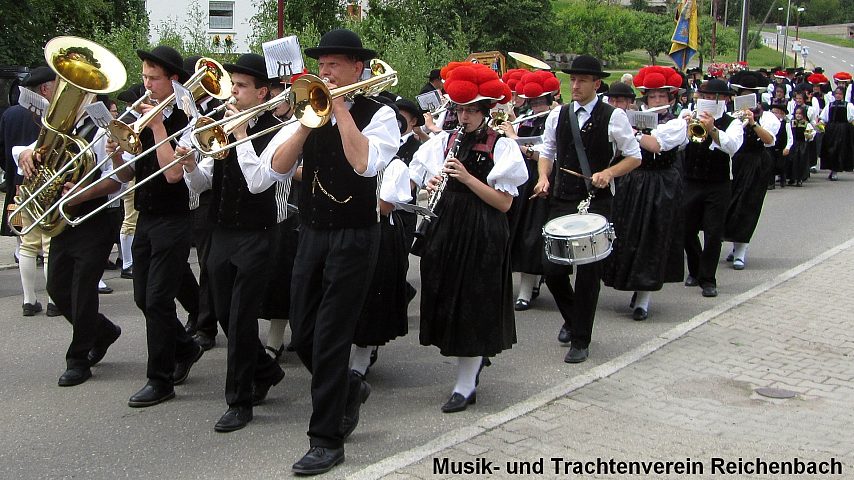 Der Festzuzg beim Gautrachtentreffen in Niedereschach 