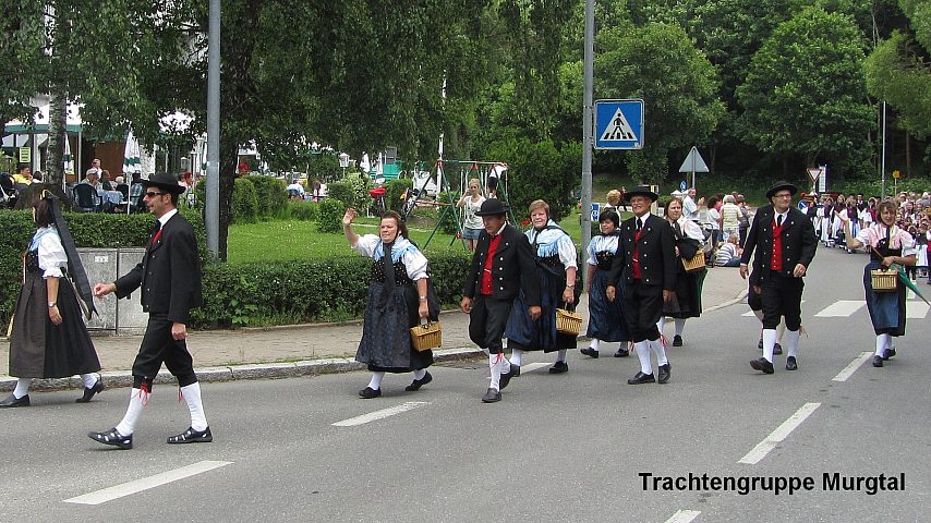 Der Festzuzg beim Gautrachtentreffen in Niedereschach 